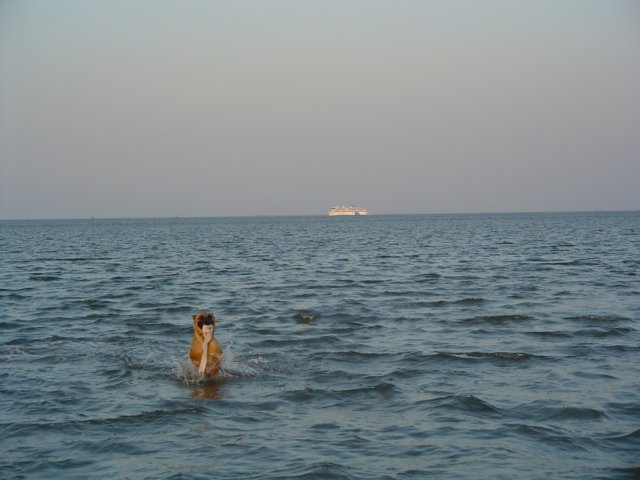 2004Zeilkamp 140.jpg